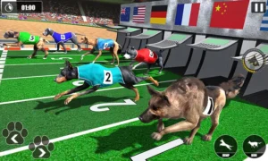 Hướng Dẫn Chơi Game Nhanh Đua Chó Tại SODO Thắng Lớn Nhanh