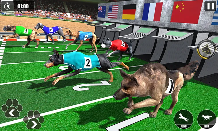 Hướng Dẫn Chơi Game Nhanh Đua Chó Tại SODO Thắng Lớn Nhanh