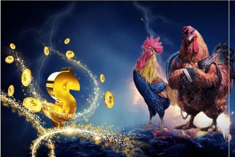 Hướng Dẫn Cách Chơi Đá Gà WS168 Tại SODO Dễ Dàng Nhất 2 Hướng Dẫn Cách Chơi Đá Gà WS168 Tại SODO Dễ Dàng Nhất