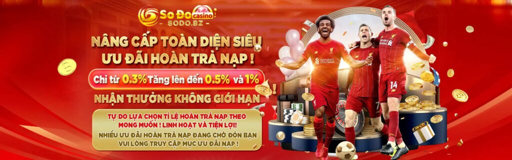 Sodo banner